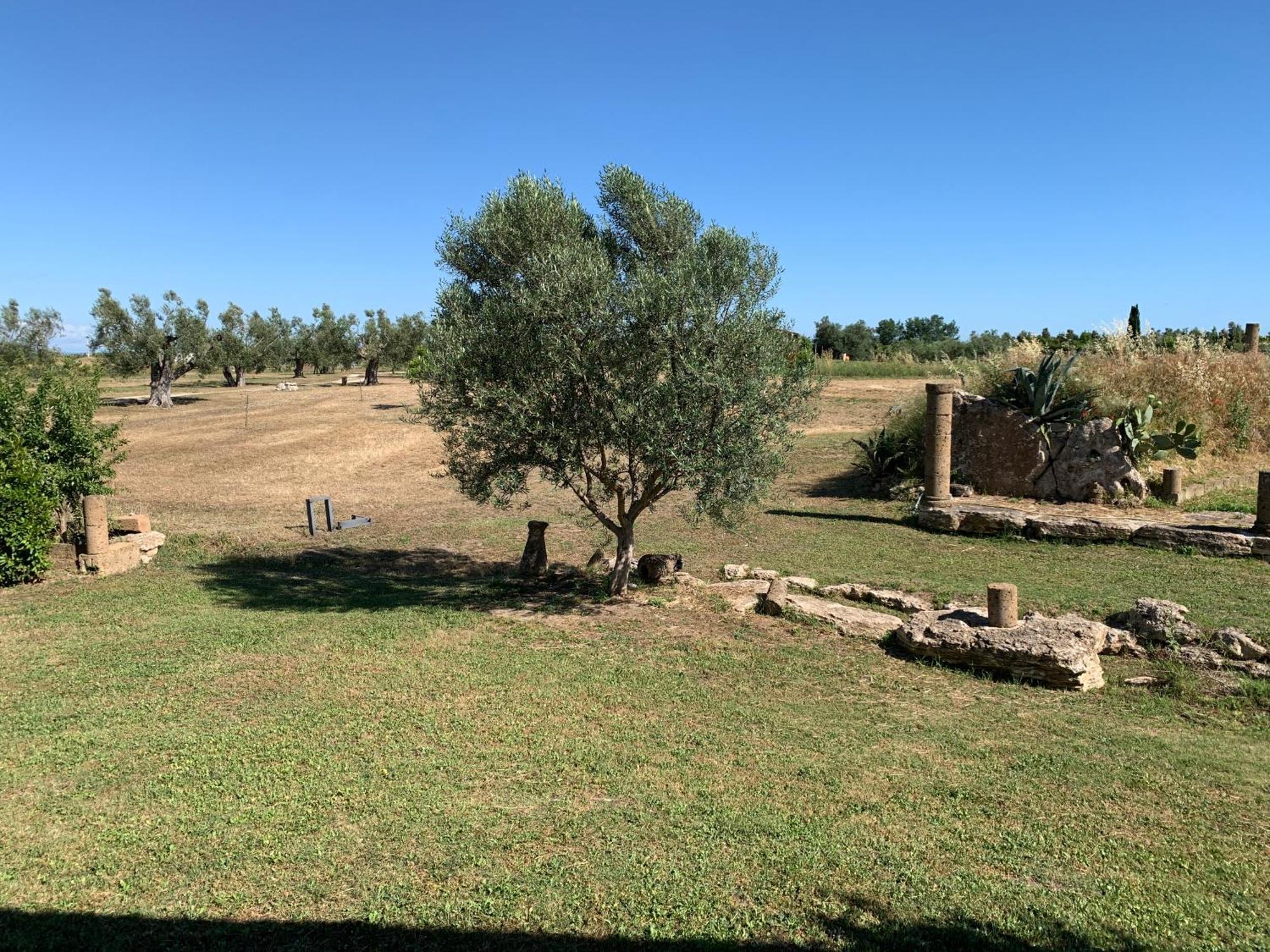 Resort Fonte Vulci Canino ภายนอก รูปภาพ