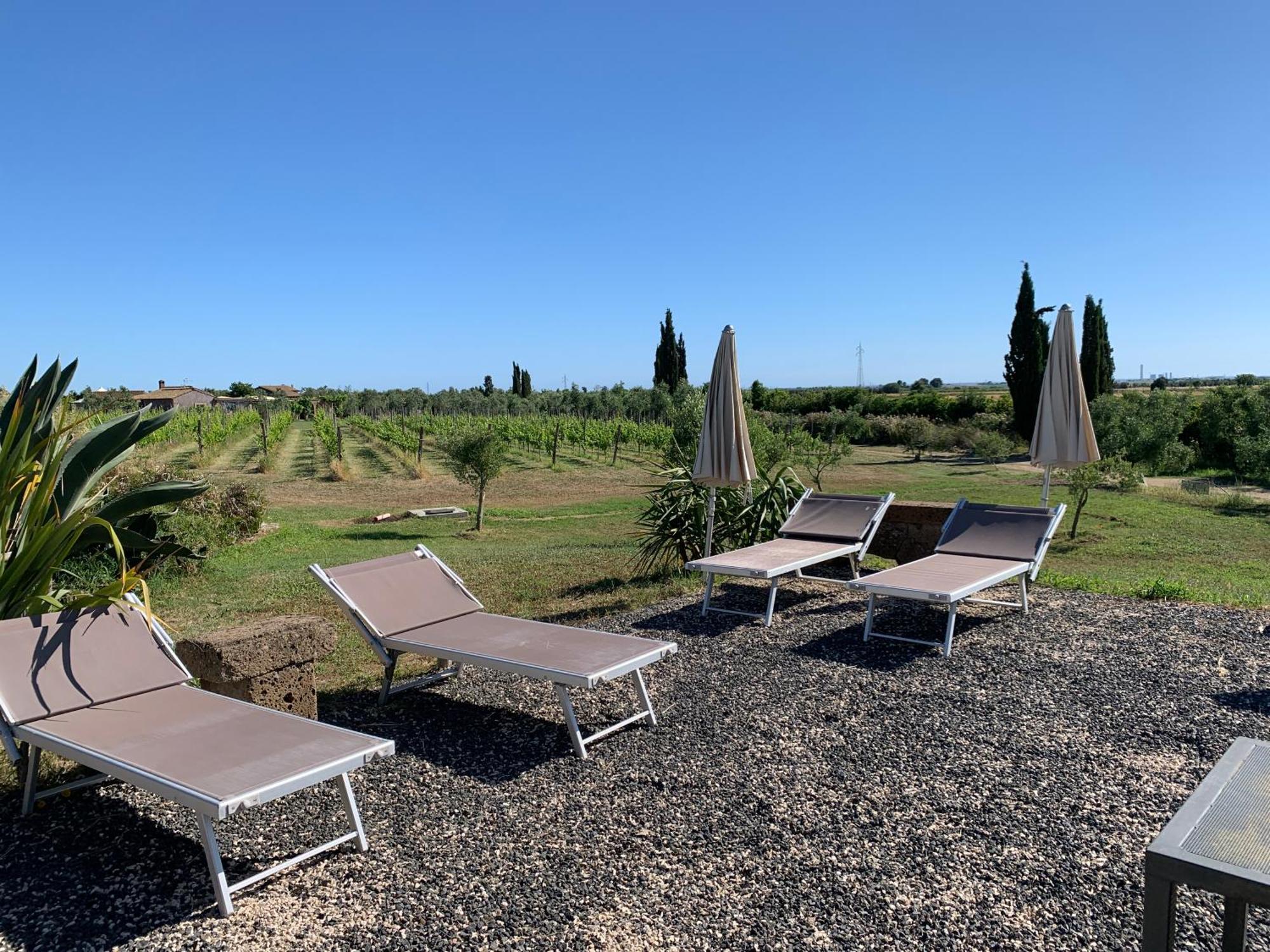 Resort Fonte Vulci Canino ภายนอก รูปภาพ